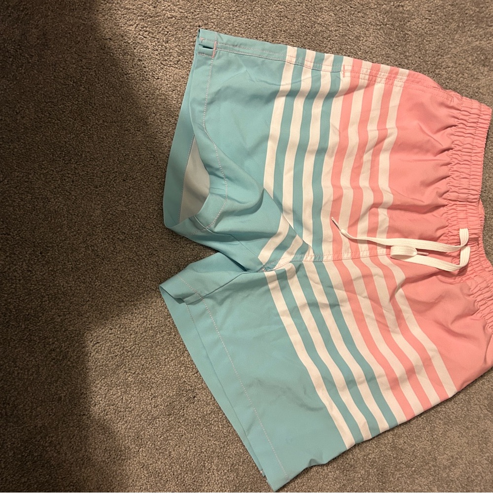 Chubbies Pink and Blue Athletic Shorts with Color-Blocking Design